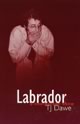 Labrador: a one-person show
